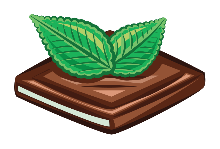 Flavour Illustration Choco Mint