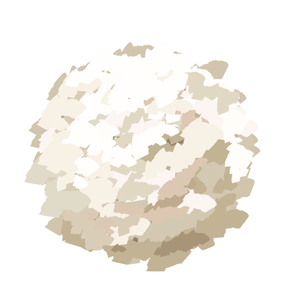 Flavour Illustration Coconut